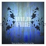 Wildfire