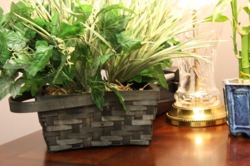 Plant Camera for Xtreme Lifeâ"¢ Wireless