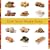 Dim Sum Made Easy
