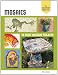 The Weekend Crafter: Mosaics: 20 Great Weekend Projects