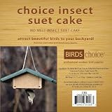 Choice Insect Suet Cakes (Case of 12)