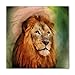 Lunarable Lion Bandana, Jungle in Watercolor Style, Unisex Head and Neck Tie