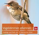Produkt-Bild: Vogelstimmen erkennen: Ges&auml;nge und Rufe von 75 heimischen Arten