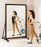 体育館ミラー Lサイズ 【本州お届けは送料無料です】