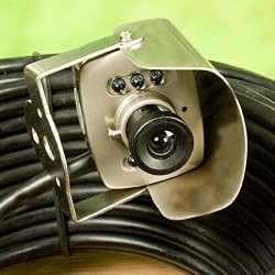 Hawk Eye Nature Cam, from Manufacturer Birdhouse Spy Cam