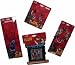 Camp Rock - The Jonas Brothers & Demi Lovato - Fashion Accessory Set - Wristband & Bracelet, Dangle Earrings, Charm Bracelet, & Charm Necklace
