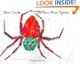 The Very Busy Spider
