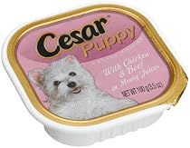 Cesar Canine Cuisine Puppy with Chicken & Beef In Meaty Juices for Small Dogs, 3.5-Ounce Cans (Pack of 24)