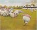 Out of the Ruck Fine Art Print