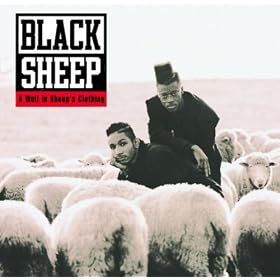 A Wolf In Sheep's Clothing [Explicit]