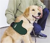 Grooming Mitt