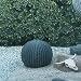 set of 3 barrel cacti by eric carroll