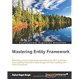 mastering entity framework