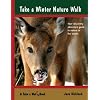 Take a Winter Nature Walk (Take a Walk series)