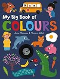 My big book of colours