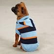 Zack & Zoey Striped Knit Dog Hoodies
