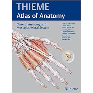 la rencontre amoureuse dans le roman dissertation