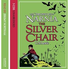 Silver Chair