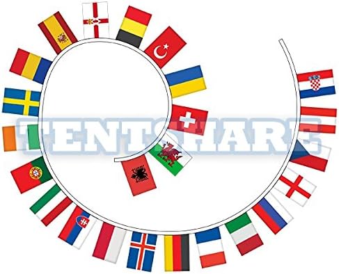 2016 Euro Cup Football Soccer String Flags 24 Teams 12x18 inch
