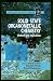 Book Solid State Organometallic Chemistry