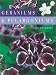 Book Geraniums and Pelargoniums