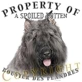 Bouvier des Flandres Mousepad Dog Mouse Pad Property Of