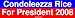 Condoleezza Rice For President 2008 Large Bumper Sticker