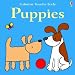 The Usborne Big Touchy Feely Book of Puppies (Touchy-Feely Board Books)