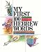 My First 100 Hebrew Words: A Young Person's Dictionary of Judaism