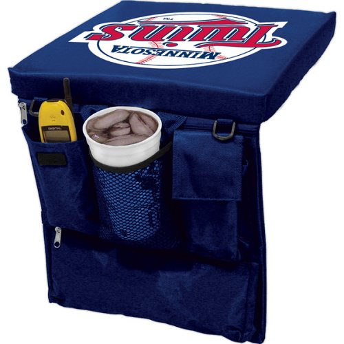 Minnesota Twins Seat Cushion by Logo Chair Company