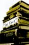 In Fact: Essays on Writers and Writing
