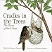 Cradles in the Trees: The Story of Bird Nests