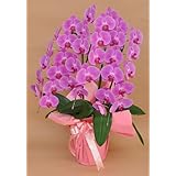 ���i�̏ڍ�