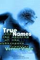 True Names: And the Opening of the Cyberspace Frontier