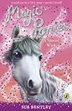 Cover of Magic Ponies by Sue Bentley 0141325941