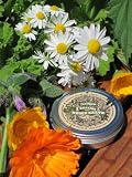 Healing Hemp Salve