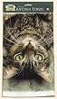Fiddler's Elbow Perculiar Perspective Cats Kitchen Towel