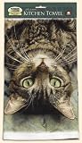 Fiddler's Elbow Perculiar Perspective Cats Kitchen Towel