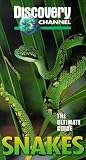 Ultimate Guide: Snakes