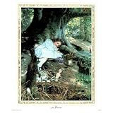 Girl Lost In Woods Art Print Poster - 16x20