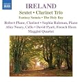 Ireland:  Sextet; Clarinet Trio, Fantasy Sonata, The Holy Boy