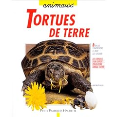 Tortues de terre