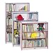 Children's Bookcase Color: Birch Plywood, Size: 36 High
