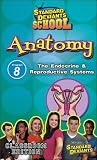 Standard Deviants School - Anatomy, Program 8 - The Endocrine and Reproductive Systems (Classroom Edition) [VHS]