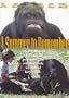 A Summer to Remember