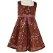 Toddler Little Girls Special Occasion Dress BROWN Dresses BONNIE JEAN Girl 2T-6X