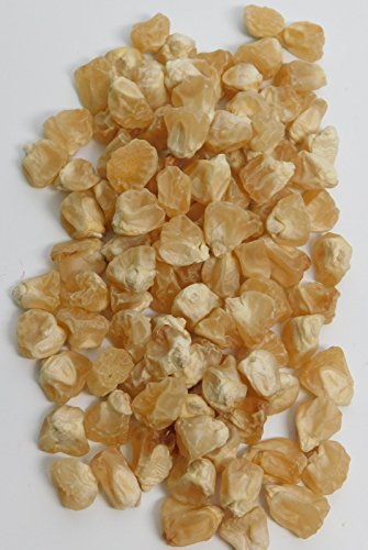 David's Garden Seeds Corn Sweet Sugar Pearl DE2673PVZ (White) 100 Hybrid Seeds David's Garden Seeds Corn Sweet Sugar Pearl DE2673PVZ (White) 100 Hybrid Seeds