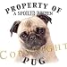 Pug 