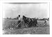Historic Print (L): [Lummie Durrett. See report.] Location: [Elizabethtown vicinity, ...