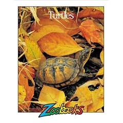 Turtles (Zoobooks Series)